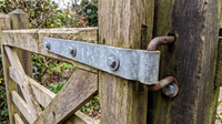 Galvanised gate band hinge wrapped over a pintle hook bolted to a timber gate post, fixed through the gate rail with coach bolts and washers